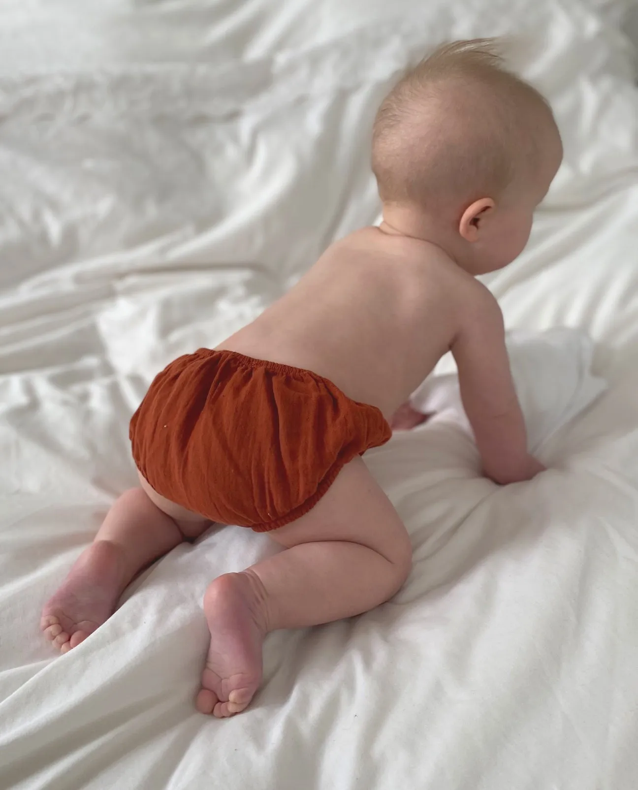 Gabriel Organic Cotton Knicker In Cinnamon