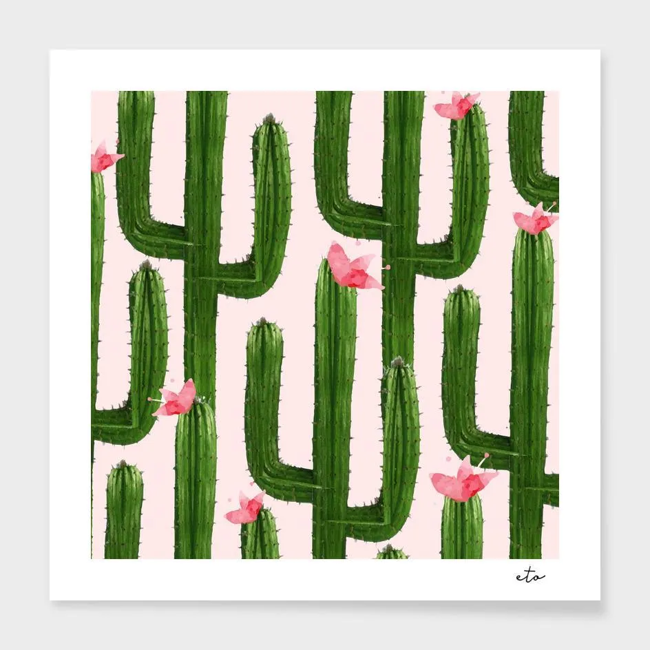 Happy Cacti Legging