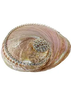 Neptune's Jewels Crystal Shell Collection Pearl Abalone