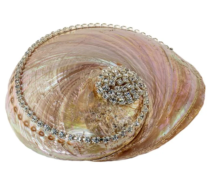 Neptune's Jewels Crystal Shell Collection Pearl Abalone