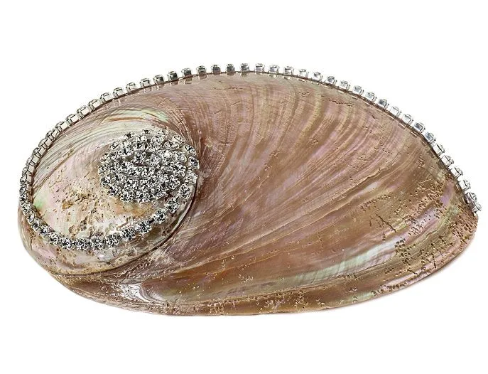 Neptune's Jewels Crystal Shell Collection Pearl Abalone