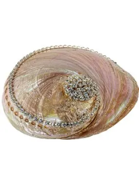 Neptune's Jewels Crystal Shell Collection Pearl Abalone